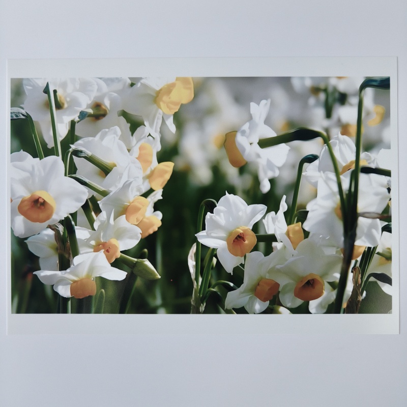 新品研发中 (2).jpg